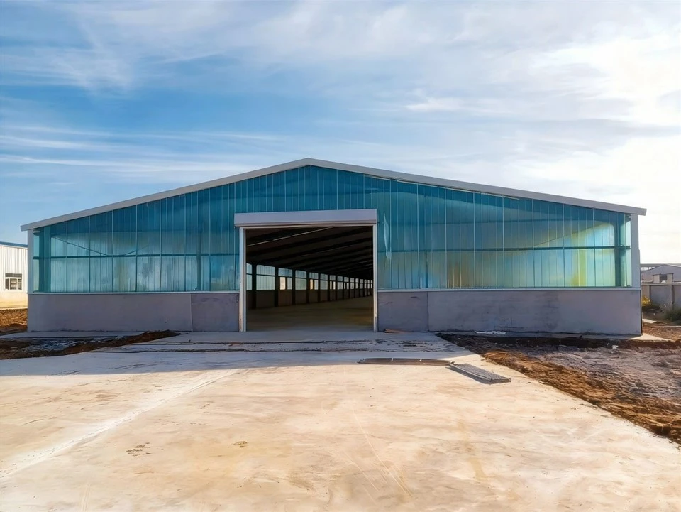 steel-structure-poultry-house-exterior-newly-built steel-structure-poultry-house-exterior-newly-built